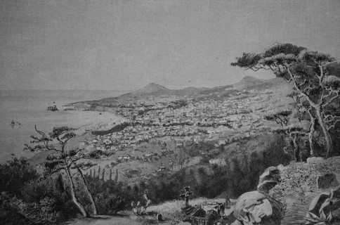View To The City Of Funchal