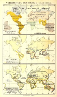 Distribution Of Animals According To Brehm'S Animal Life In The 19Th Century