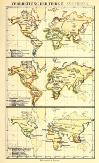 Distribution Of Animals According To Brehm'S Animal Life In The 19Th Century