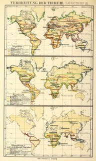 Distribution Of Animals According To Brehm'S Animal Life In The 19Th Century
