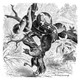 Reptiles