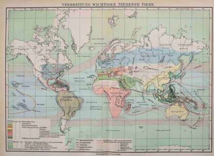 Map Of The Distribution Of Important Lower Animals