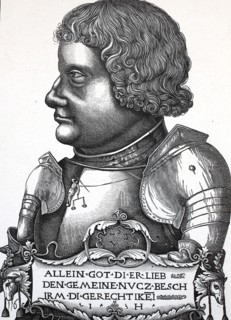 Franz Von Sickingen Was A German Knight