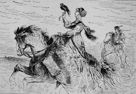 Noble Lady In Falconry In The Middle Ages