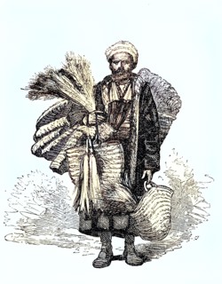 Professions In Constantinople