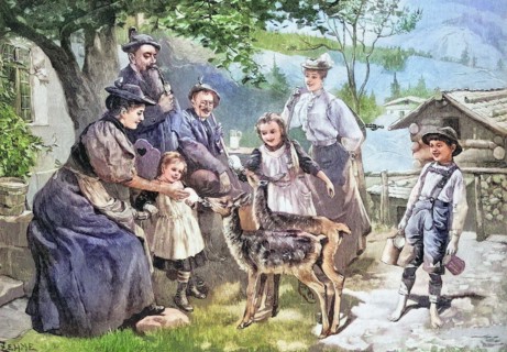 Two Motherless Fawns Are Bottle-Fed In The Farming Family
