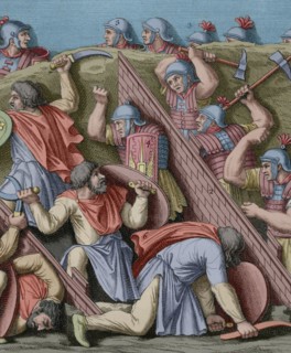 History by Polybius.