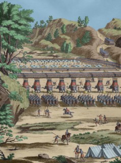 History by Polybius.