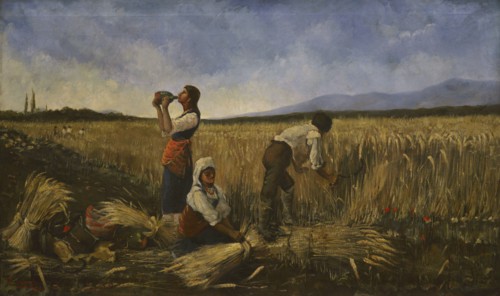 Harvest.