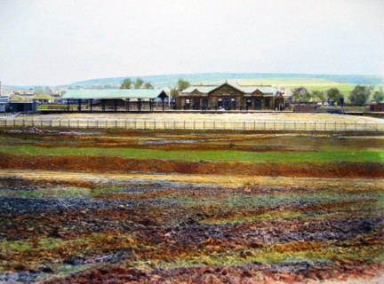 A colorful field of flowers and railrway station along the Kursk-Kharkov-Azov railway circa between 1885 and 1888