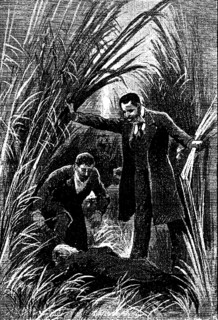 The Island of Doctor Moreau illustration