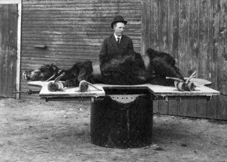 Horse Operating Table