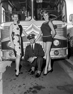 Hi Roller Bus Line