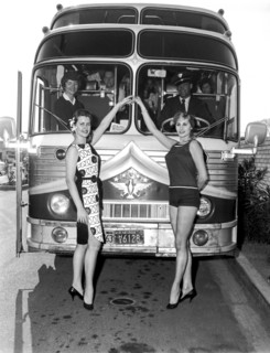 Hi Roller Bus Travel