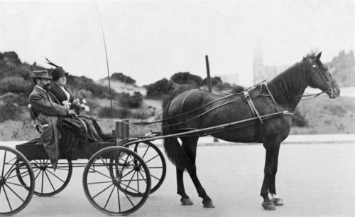 Couple In Horse Drawn Wagon