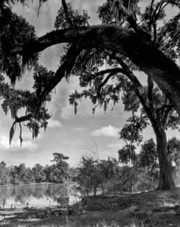 Lake Charles, Louisiana