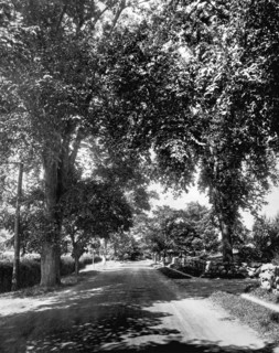 Cape Cod Auto Road