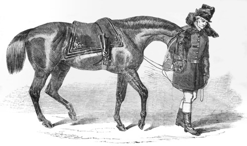 The Duke of Wellingtons horse being led away by the groom.