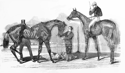 The Doncaster Winners, st Ledger Knight Of St George And Doncaster Cup Virago.