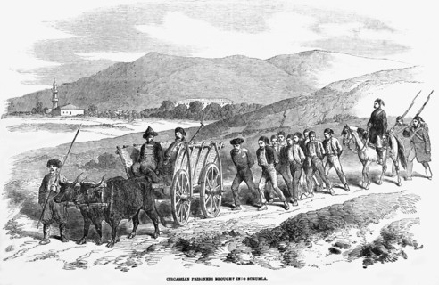 Prisoners Marched With Rflie Guard Marching Behind Wagon.