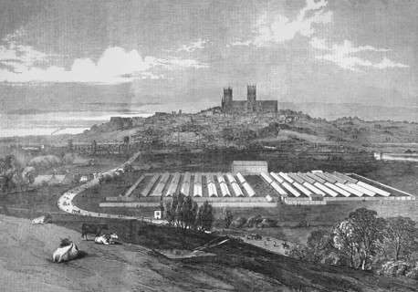 Meeting of the Royal Agriculteral Society at Lincoln.