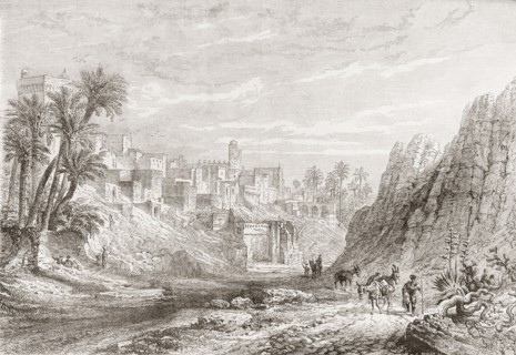 A view of Elche, Baix Vinalopo.