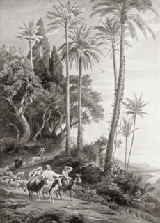 Abraham entering the land of Palestine.