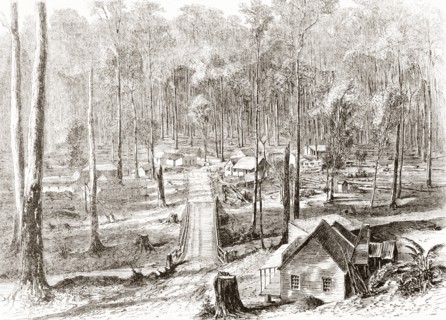 The Fernshaw colony.