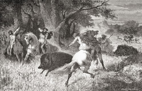 Hunting boar and other animals during the Iron Age.