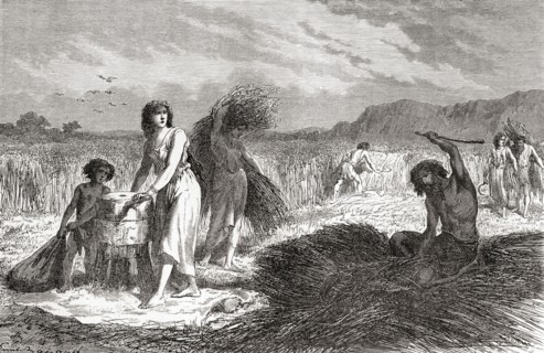 Agriculture during the Iron Age.