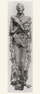The mummy of Seti I.