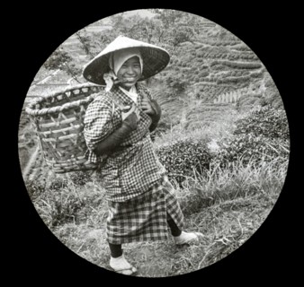 A native girl with basket on her back.