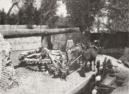 Agriculture in ancient Egypt.