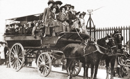 A horse-brake.