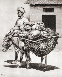 Carrying pots to market in India.