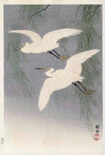 Two Little Egrets in Flight.