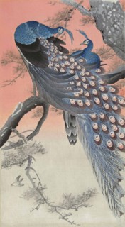 Two Peacocks on a Tree Branch.
