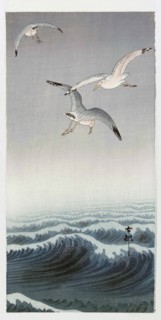 Three Seagulls.