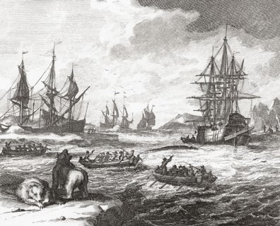Whale hunting in the Arctic in the early 18th century.