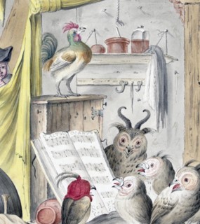 Bird Concert.