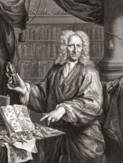Albertus Seba.