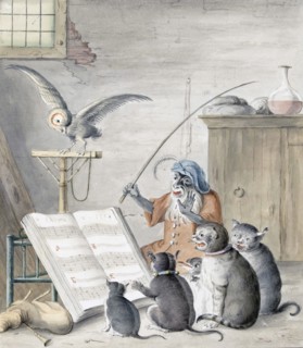 Cat Concert.