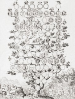 Genealogy of the Medici family of Florence.