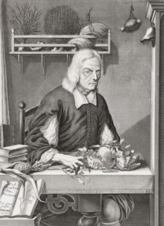 Georg Eberhard Rumphius.