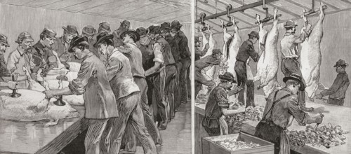 Two scenes from a slaughterhouse in Chicago.