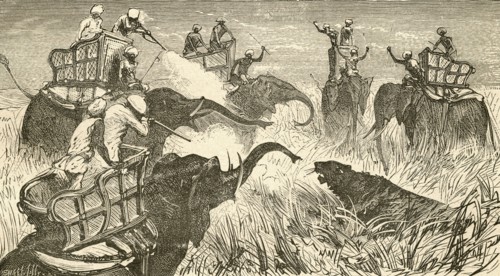 Hunters mounted on elephants.