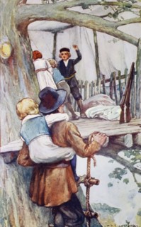 The house in the tree.