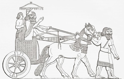 An Assyrian king in his chariot of state.