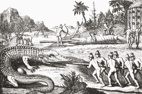 Hunting alligators in the Southern States of America.