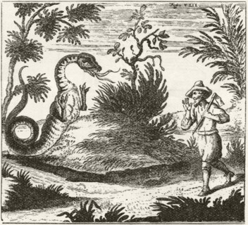 Author-explorer Schenchzer meeting a dragon in the Swiss Alps.
